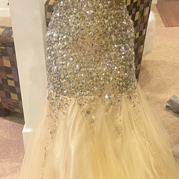 Prom Dress - Picture 2 of 9